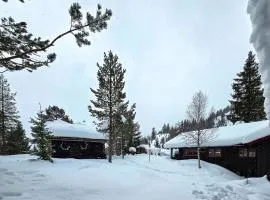 Gorgeous Home In Flatdal With Sauna