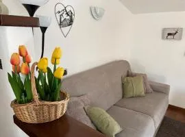 Miralago Casa Vacanze