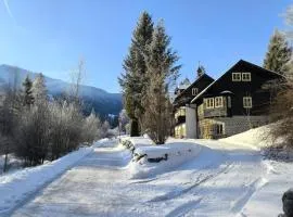 Bergnest im Prielkreuz - Großes Appartment im Ski und Wandergebiet