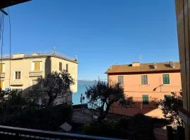 Casa Flaminia