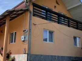 Pensiunea Casa Romanita