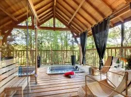 Cabane-Spa - Cyprès si Haut