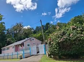 LA Villa Rose lumineuse 4 chambres