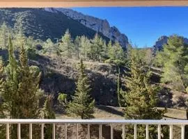 Regard du planteur d'arbres