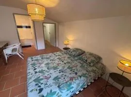 Cosy T2 Hyper-centre Montauban Place Nationale