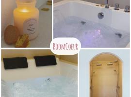 Bain balnéo & Plein centre, Hotel in Niort