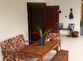 Maison 300m2, grand jardin tropical - MORONI