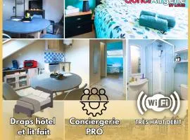 Charmant et confortable T2 à Flers