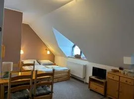 ROSA Harrachov - ubytování v centru