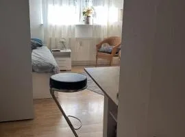 1 Zimmer Wohnung Eschollbrücken