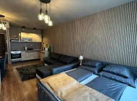CITY CENTRAL VIP APARTMANT WITH FREE PRIVATE PARKINg