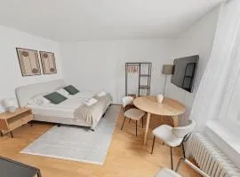 Cozy room in the heart of Zurich - Stork 32