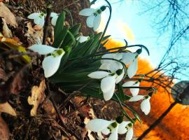 Rókabérc Vadászház Hotel, хотел в Ердобине