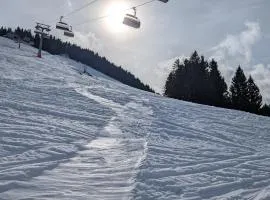 Ferienwohnung Steibis - Hochgratblick