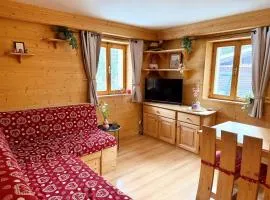 Dolomites Red Heart Lake View