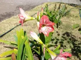 Unique-Affordable-Spacious Studio