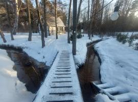 small house "Urgas" by the sea with 6 beds, Hotel in Plieņciems