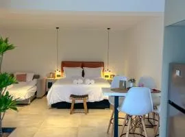 Apademia Comfort Studio 45 sqm