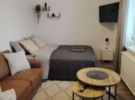 Cozy studio in the heart of the city