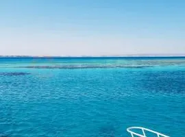 CAMUS 128, Princess Resort