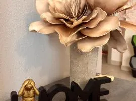 Domu Grìsia Apartment Arzachena