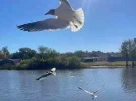 Private Tropical Waterfront Sanctuary w pool, hot tub & an island! Pet Friendly