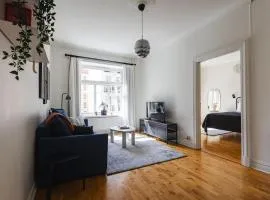 King Bed Smart TV Coffee WiFi Sofa Bed