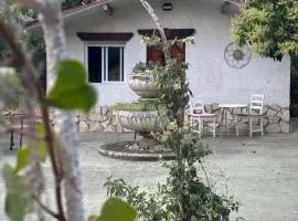 Cabañas Rústicas dentro de la Finca El Castillo