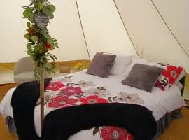 Hendre Glamping Retreat, The Wren's Nest