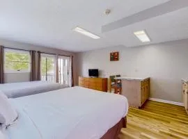 Near Douglas Lake 1st Floor Studio Dog Friendly