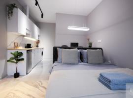 RentHouse Apartments NanoFlat #1，奇西瑙的飯店