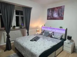 Comfortable Private Room on Elbe River