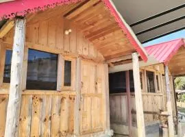 Vedic homestay Chakrata