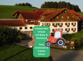 Ferienhof Eger - entspannter Urlaub mit Baby & Kleinkind - wahlweise top modern oder günstige Fewos - ruhig am Ende der Straße - Kälbchen füttern - Traktor fahren - Freie Fahrt mit den Hörnerbahnen in Sommersaison - E-Ladestation - E-bike Verleih ab Hof