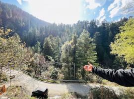 Sharaji cottage #premium room # cafe #comforable stay, viešbutis mieste Jibhi