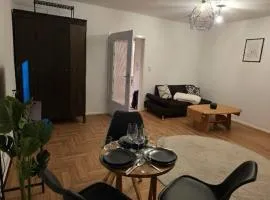 Cozy apartment near downtown Goslar