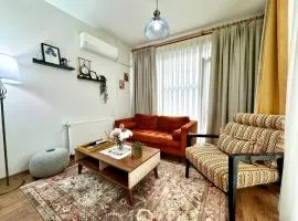Modern Furnished Historical House