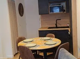 Le Cocon des Grands Ski aux pieds Les 7 Laux Prapoutel