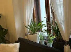 Apartmány PARK
