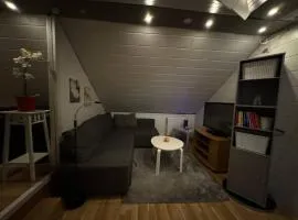 Apartment Bjarmaland