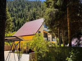 Hidden Forest Cottage