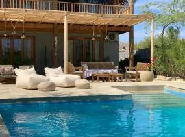 Casa Morena, Los Órganos