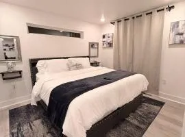 Luxury Modern King Bed 70 TV Downtown Dallas