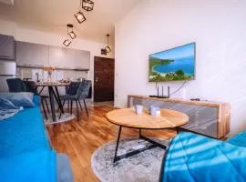 Luxury Lake Nearby Free Parking Pet Friendly APT