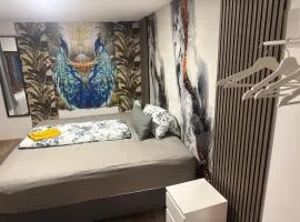 Vierjahreszeiten Frühling