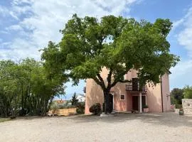 Apartments Iva & Ammm