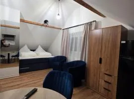 Modern apartment in downtown