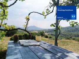 Köveshegy Guesthouse, хотел в Таполца