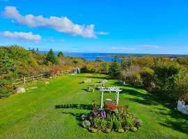 Epic Sunrise Ocean View!