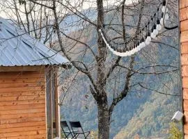 Panoramic Wood Cabin